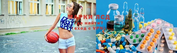 СК Беломорск