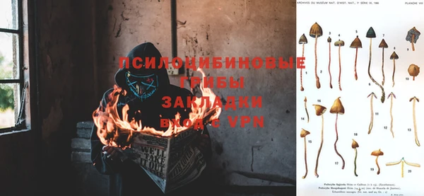 дмт Белокуриха