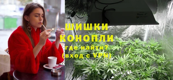 дмт Белокуриха