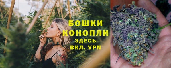 дмт Белокуриха