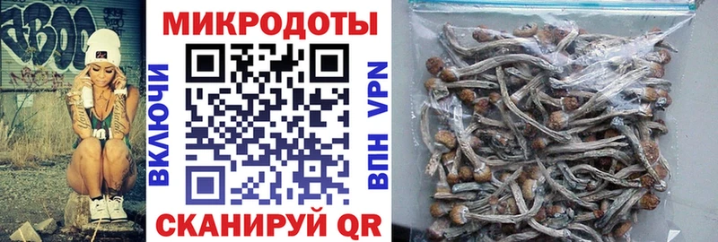 Псилоцибиновые грибы GOLDEN TEACHER  OMG маркетплейс  Красновишерск 