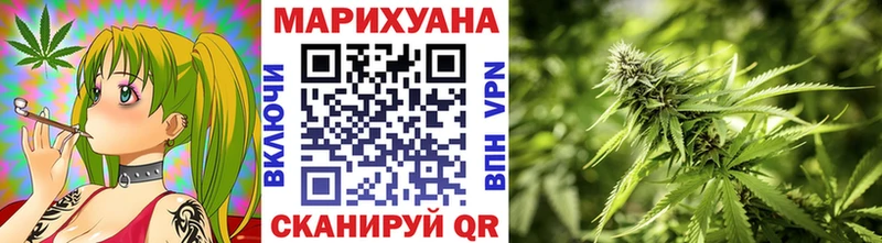 Бошки марихуана гибрид  кракен вход  Красновишерск 
